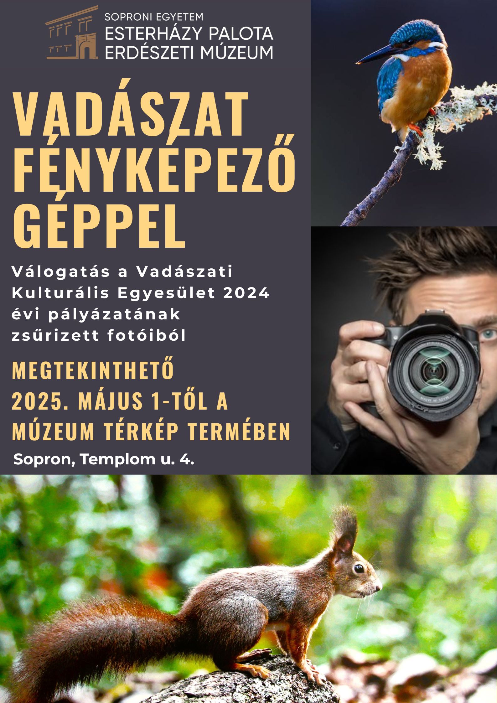 Vadászat fényképezőgéppel (1) másolata.jpg